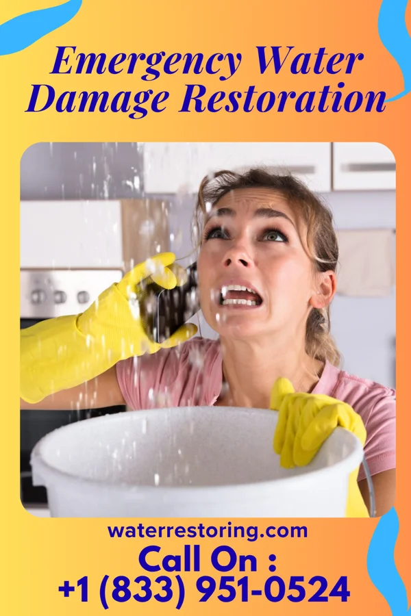 Emergency Water Damage Restoration in Bicknell, IN