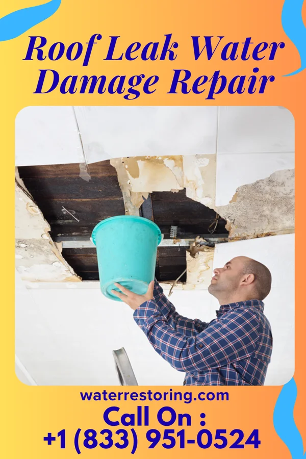 Roof Leak Water Damage Repair in Bicknell, IN