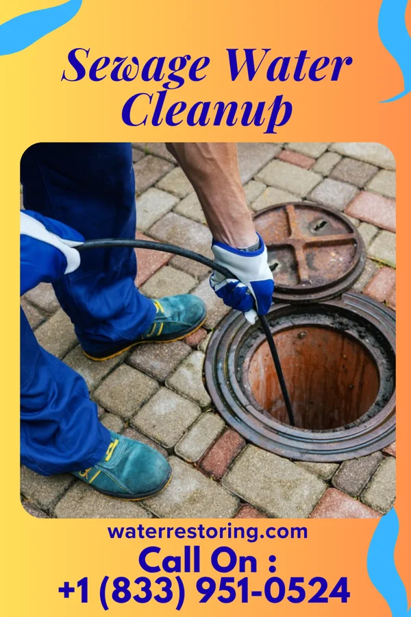Sewage Water Cleanup in Bicknell, IN