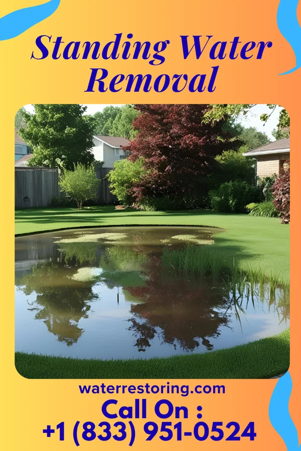 Standing Water Removal in Bicknell, IN